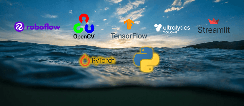 Week-1: Introduction to Vision Amarine